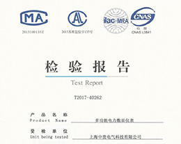 多功能电力数显仪表检验报告.